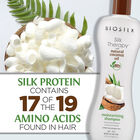 Silk Therapy With Natural Coconut Oil Moisturizing Shampoo, , large image number null